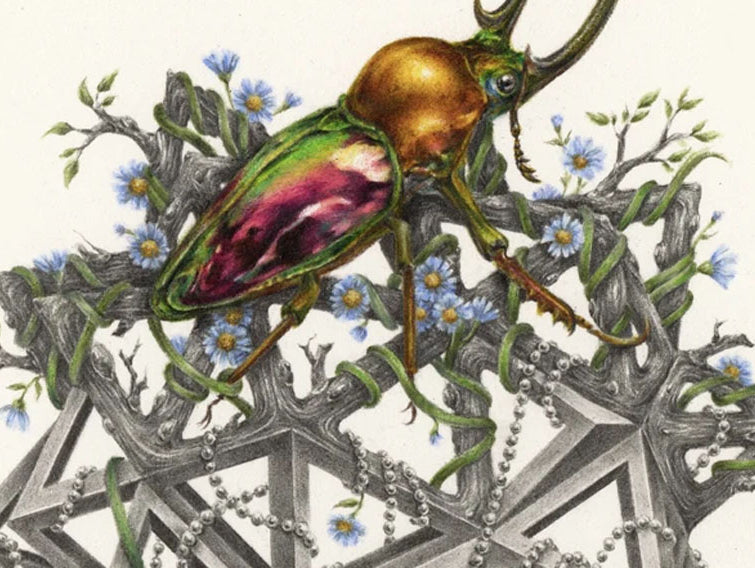 COURTNEY BRIMS – 2016