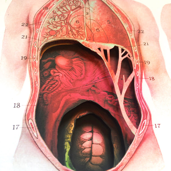 Choke – Outré Gallery