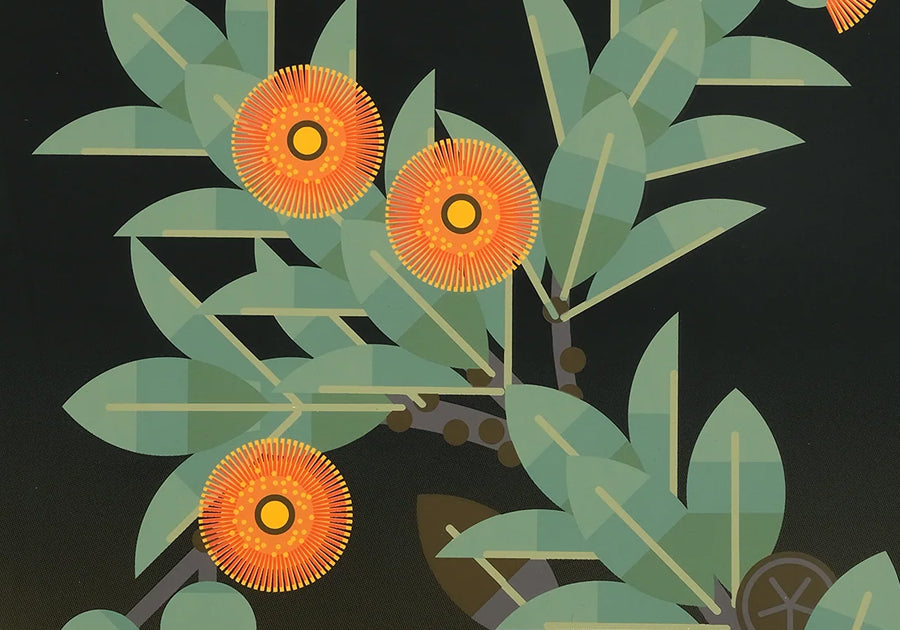 Amok Island / 12 Jun - 5 Jul 2026