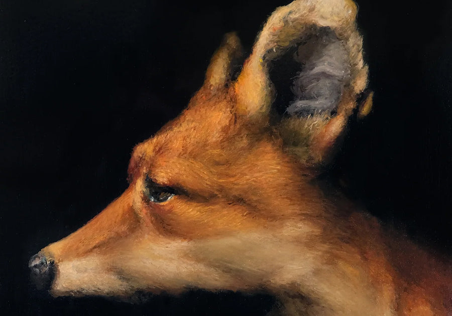 Brad Woodfin / 12 Jun - 5 Jul 2026