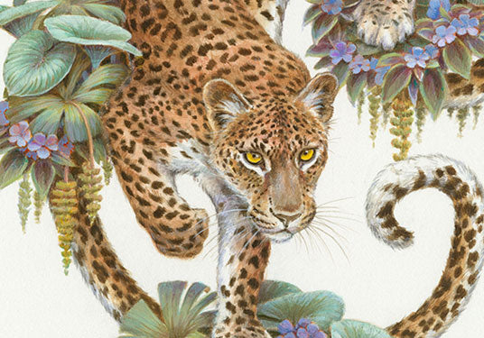 Courtney Brims - 2025