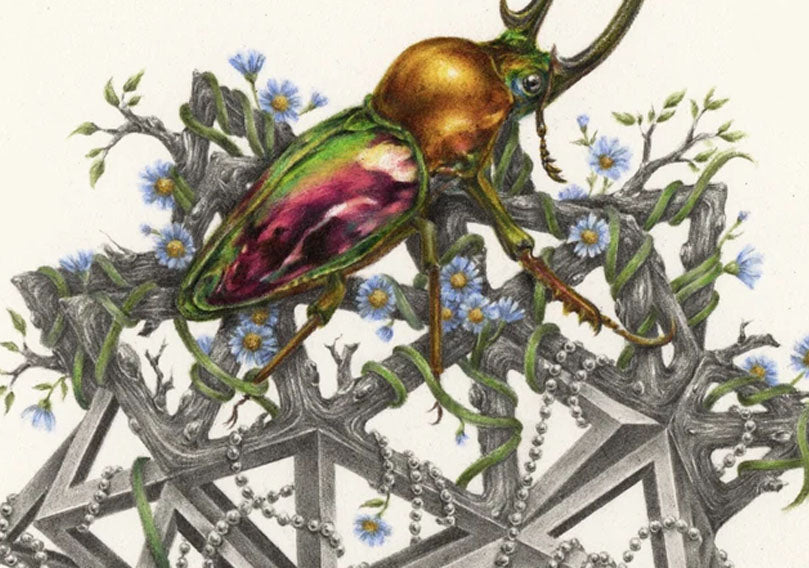 COURTNEY BRIMS – 2016