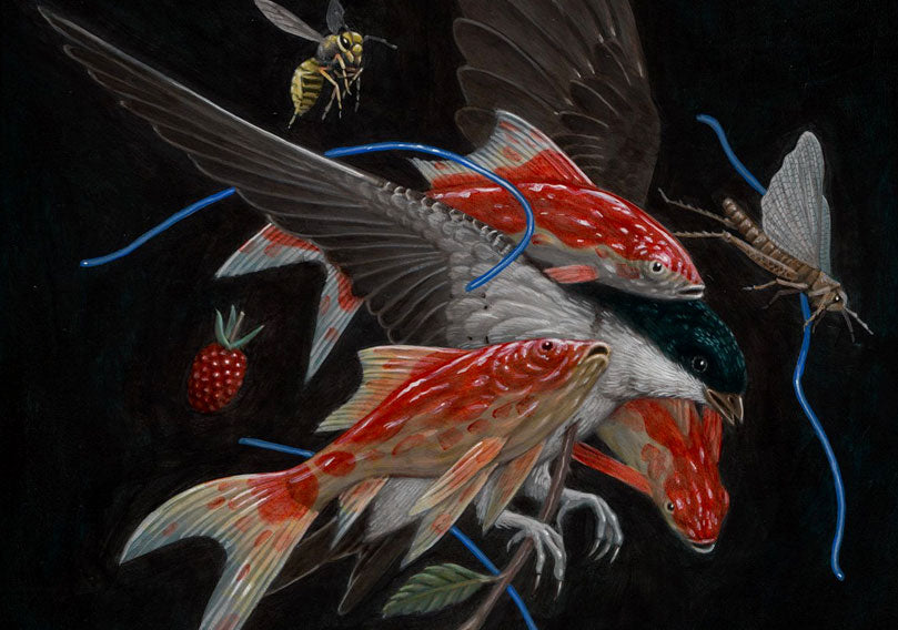 Nick Sheehy – 2018