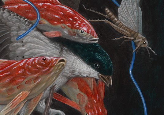 Uncloaking the Mystery with Nick Sheehy