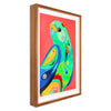 Mulga Parrot