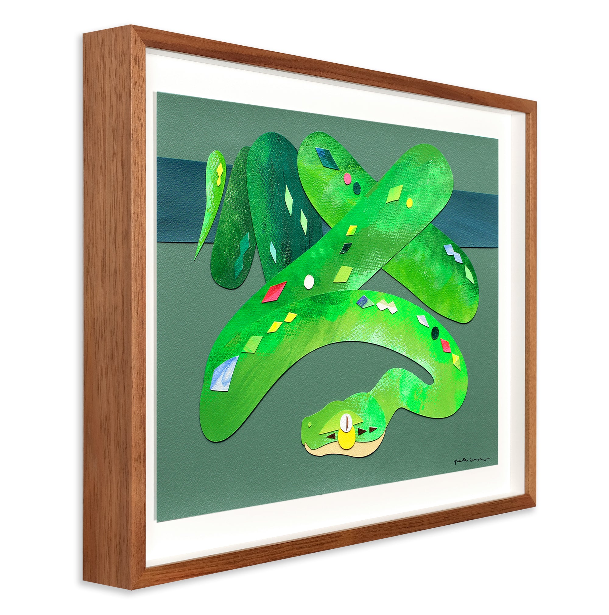 Green Tree Python – Outré Gallery