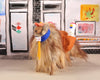Postage Pups - Another Afghan Hound