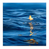 Glimmer IV Study