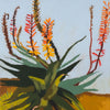 Agave