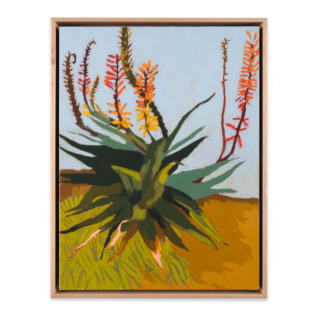 Agave