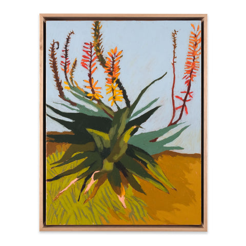 Agave
