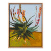 Agave