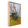 Agave
