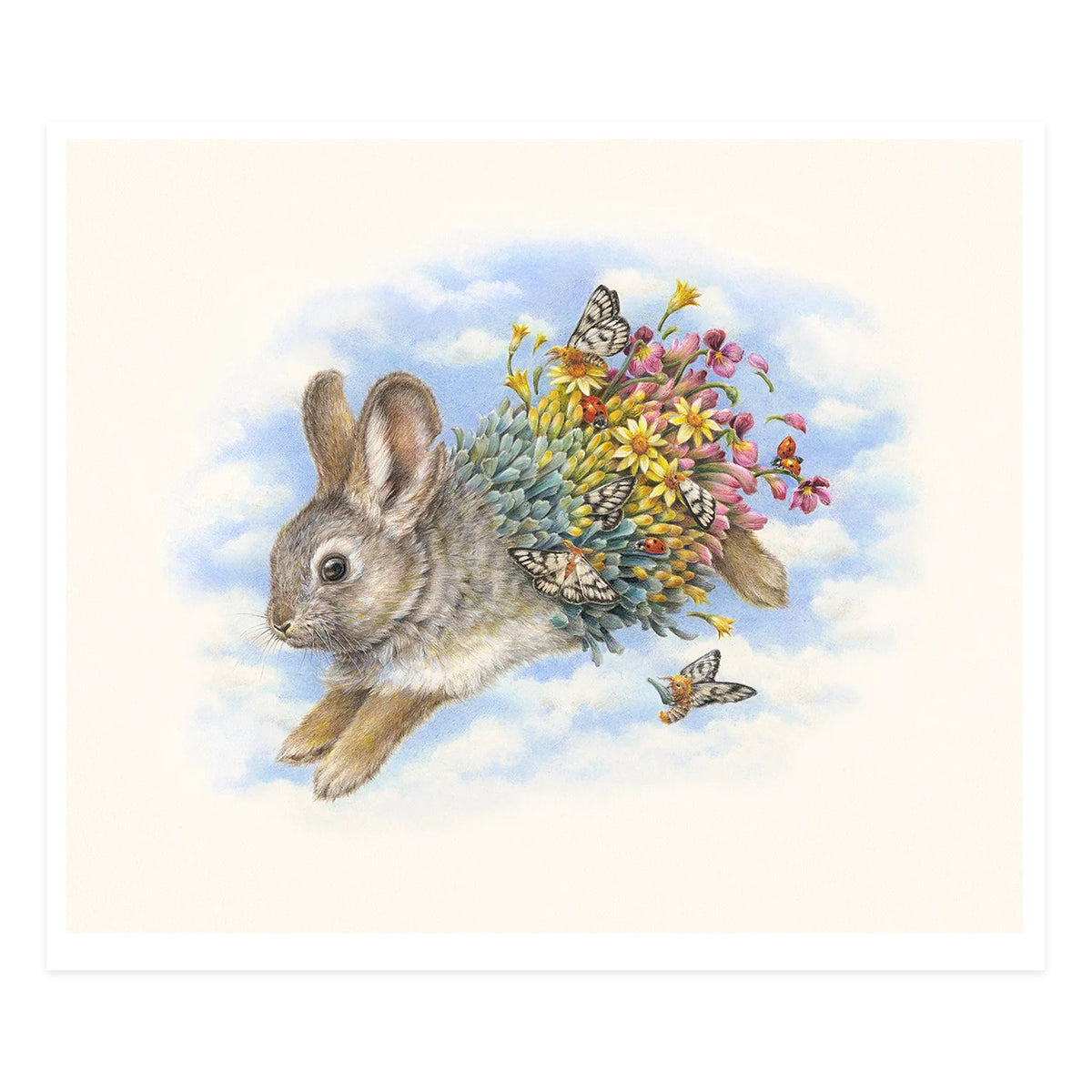 Pygmy Rabbit Kit Columbia Basin Pygmy Rabbit – Outré Gallery