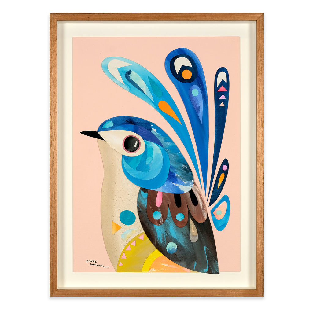 Lovely Fairywren