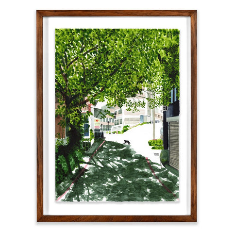 Dappled Light