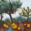 Dragon Tree and Golden Barrel