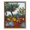 Dragon Tree and Golden Barrel