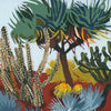 Dragon’s Blood Tree