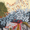 Euphorbia