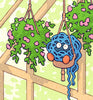 Cozy Greenhouse (Pokémon)