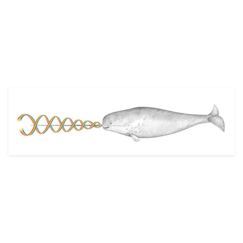 Rainbow Narwhal Spirit Animal