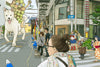 Life In the Liminal Space Between Fuji-san and Yatsugatake