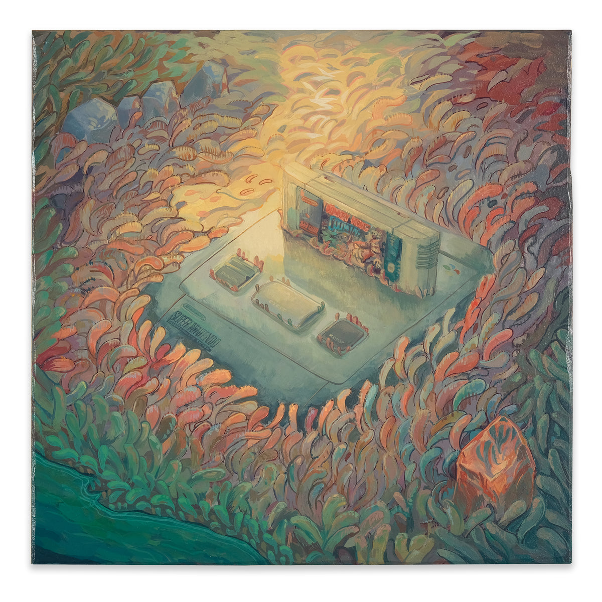 SNES Buried Amongst Jelly Shrubs – Outré Gallery