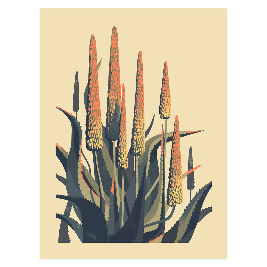 Aloe