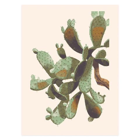 Prickly Pear