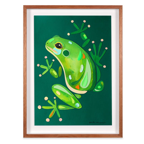 Green Tree Frog