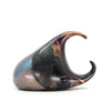 Rhinoceros Beetle 12