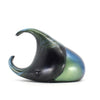 Rhinoceros Beetle 13