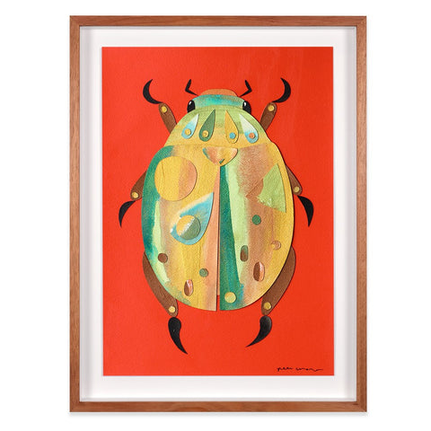 Christmas Beetle