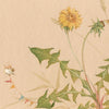 Secret Life of Bee Flies