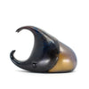 Rhinoceros Beetle 17