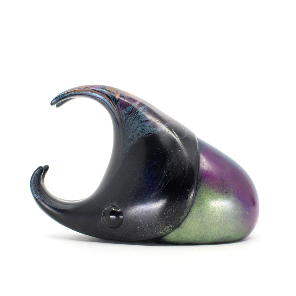 Rhinoceros Beetle 29