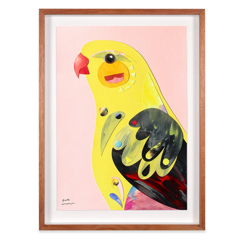 Regent Parrot