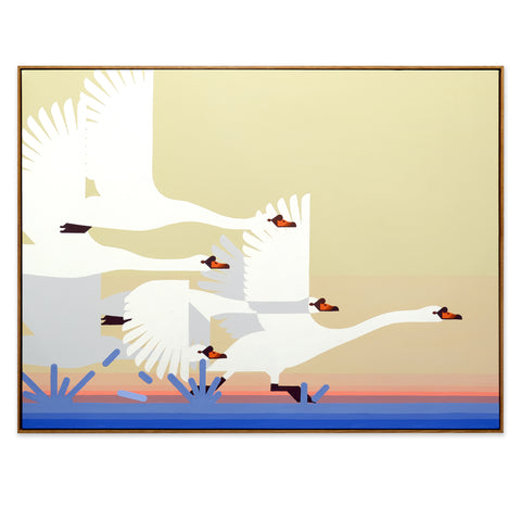 White Swans