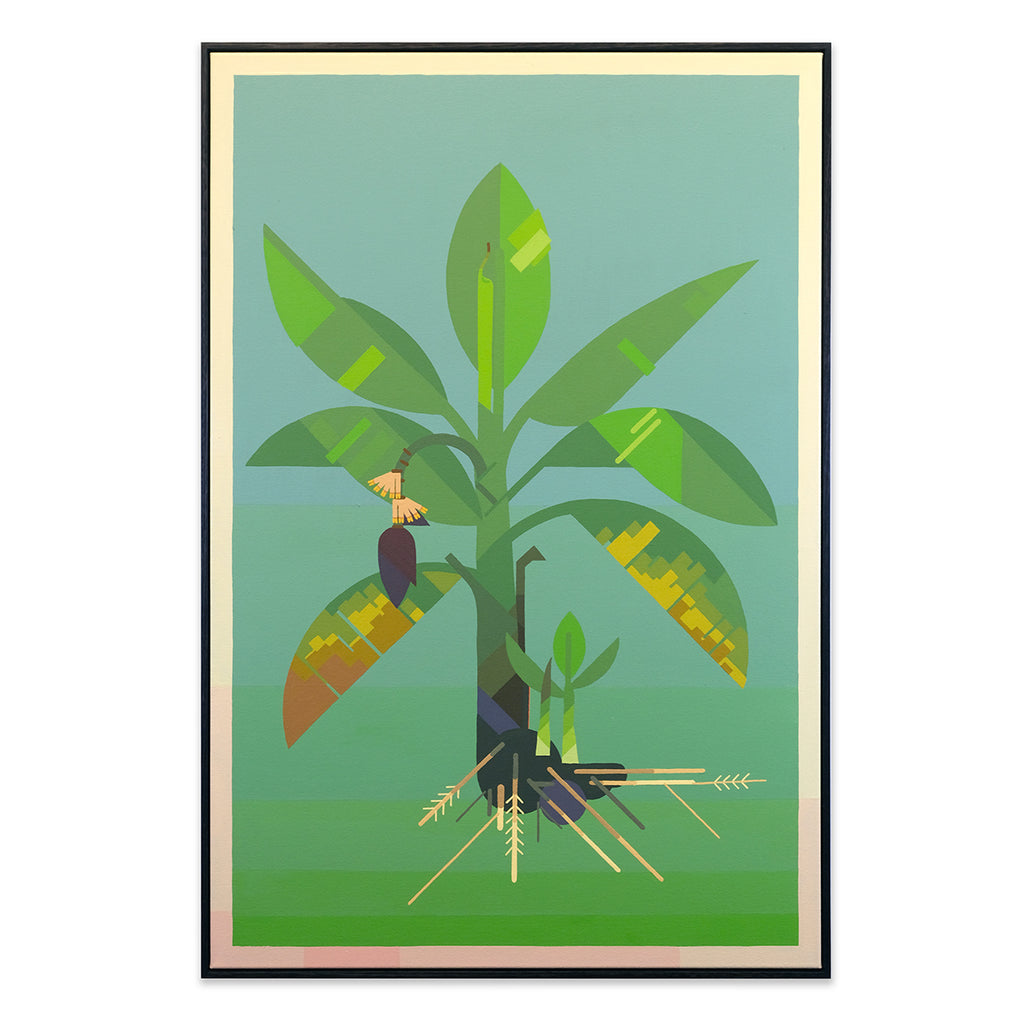 Banana Plant