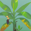 Banana Plant