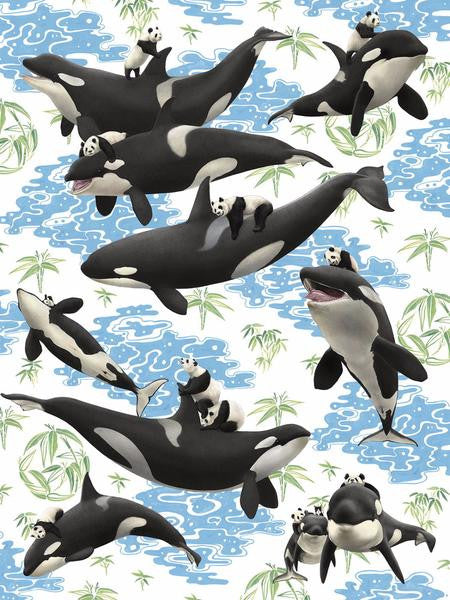Captives: Orcas and Pandas