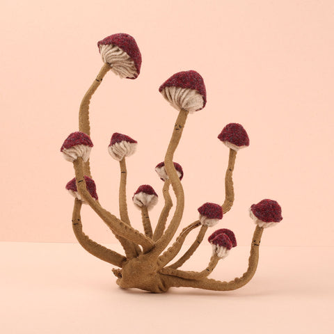 Cluster