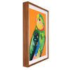 Superb Parrot