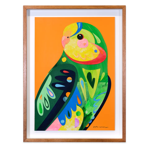 Superb Parrot