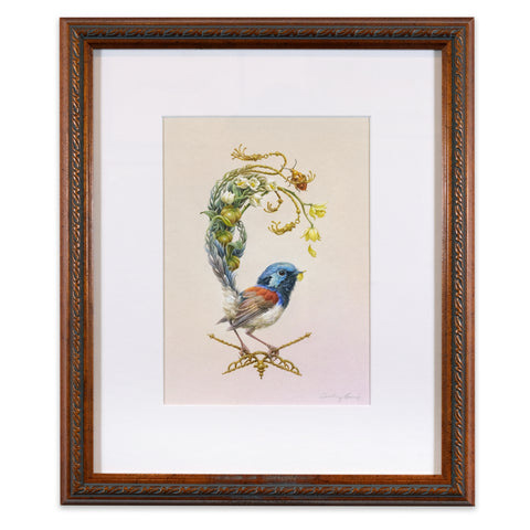 Lovely Fairywren II