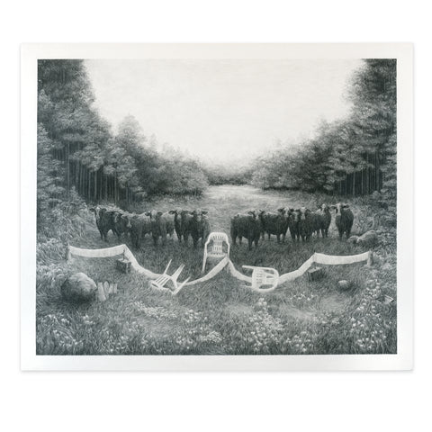 A clearing, a herd, pool chairs.