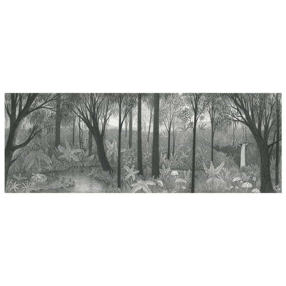 Fern Valley
