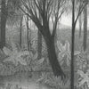 Fern Valley