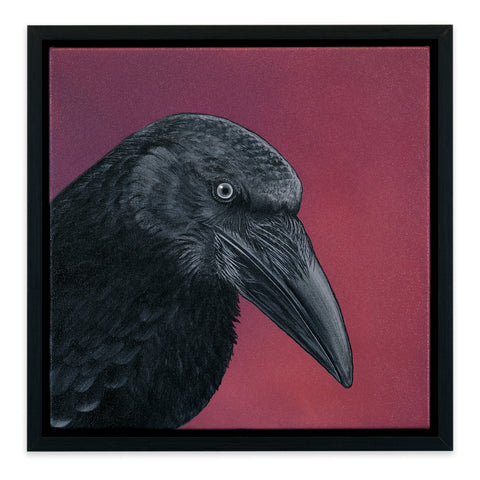 Passerine Dream